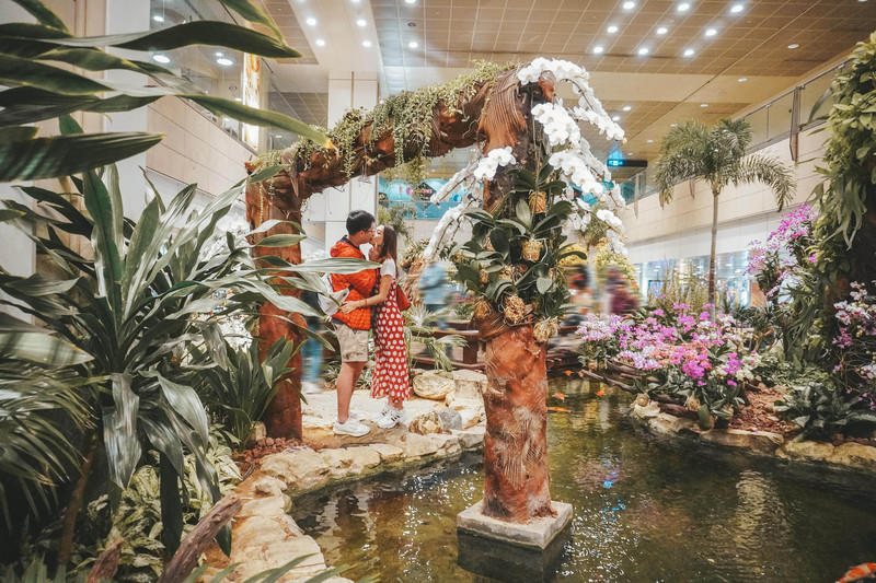 一人一猫环游,一人一猫旅行