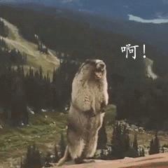 对付低频噪音最好的隔音材料,大噪音隔音材料隔音效果排名