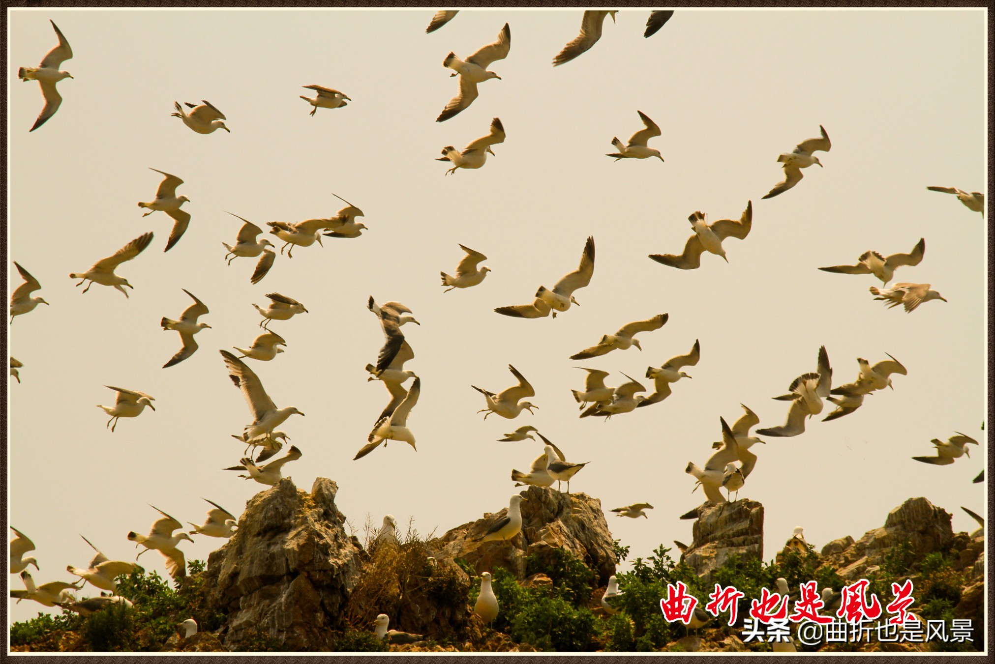 住渔村民宿吃渔家乐湖畔露营,东楮岛旅游攻略美食