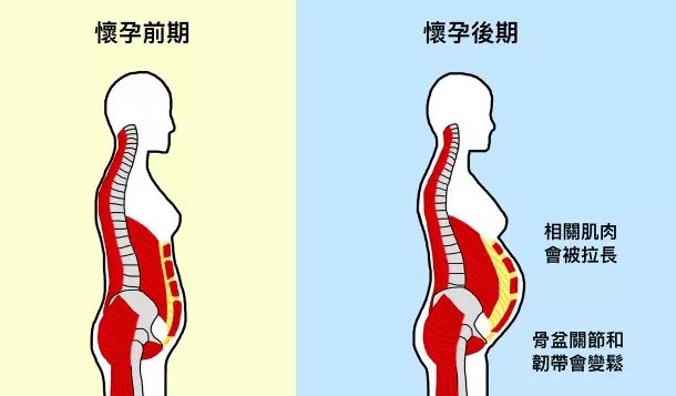 产后骨盆修复恢复多少厘米,产后盘腿坐对骨盆恢复有影响吗