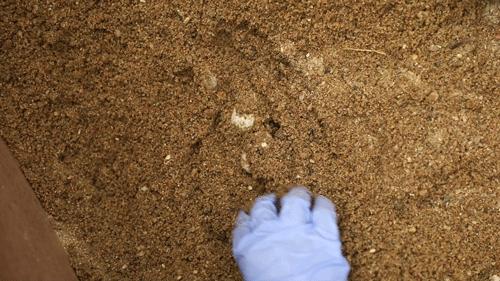 盘点广东人的夏日消暑神器,消暑必备神器凉粉