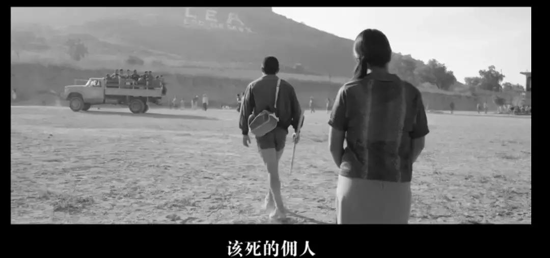 奥斯卡评选20世纪100部电影,奥斯卡10个奖项