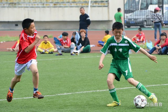 泰安岱岳区校园足球,山东省政府表扬泰山队