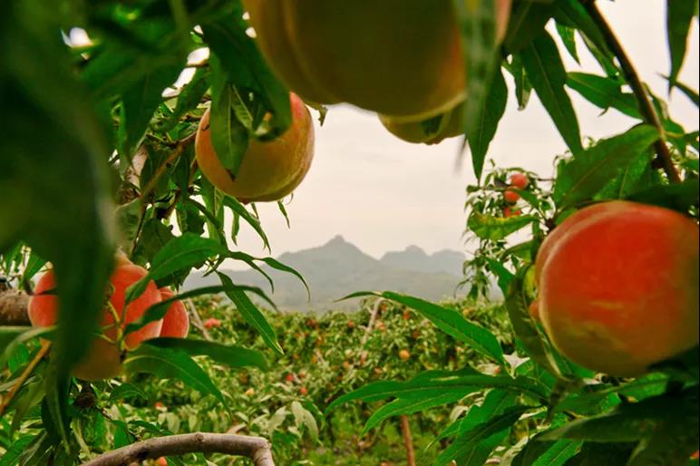 沂蒙山区好地方,山东沂蒙的深山