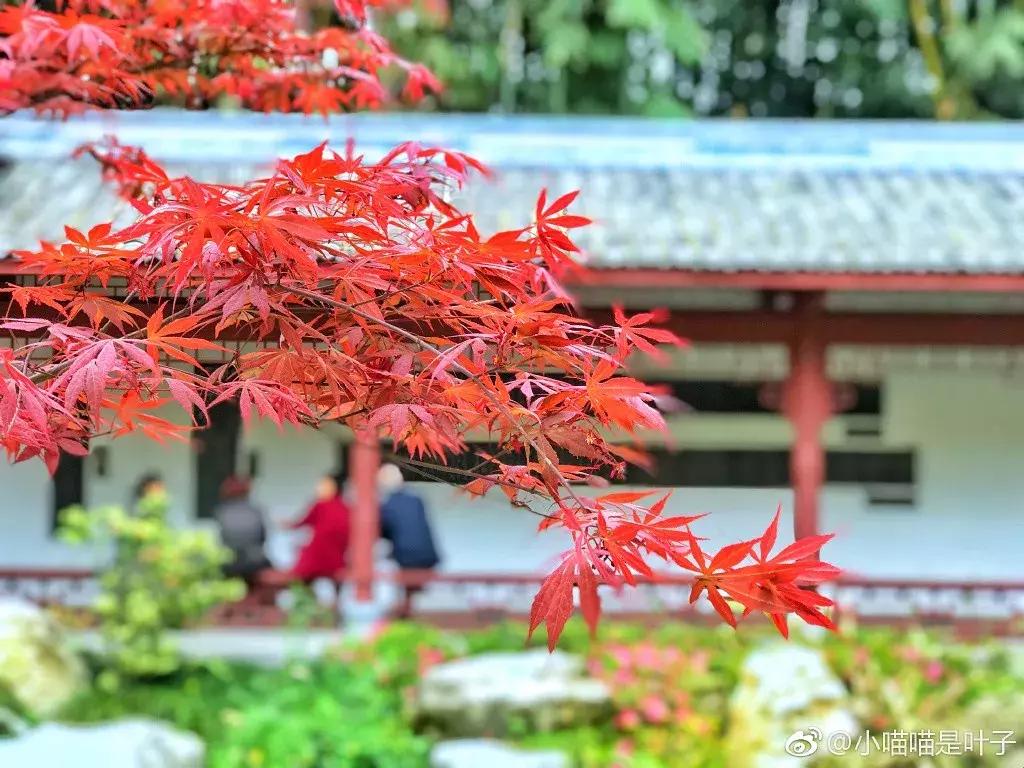 成都市区小众景点免费,成都冷门旅游景点推荐