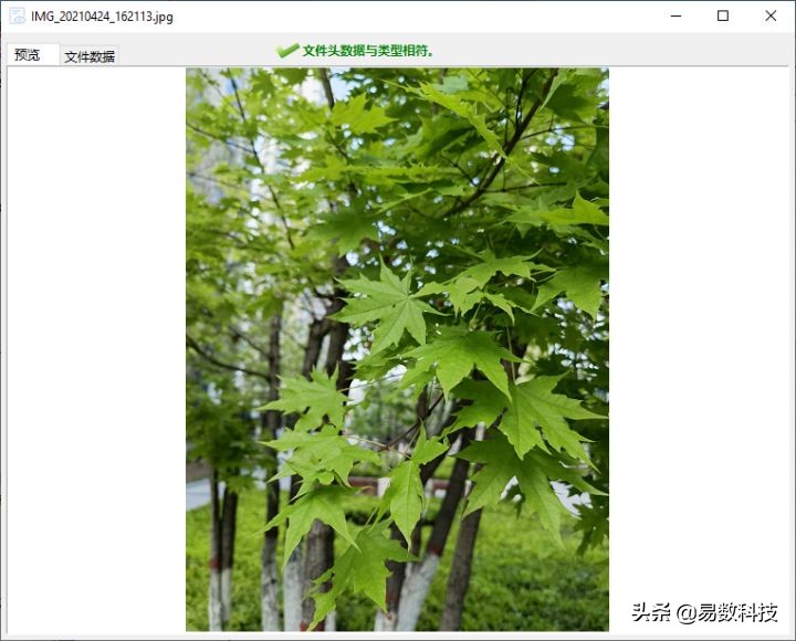 u盘在手机上格式化怎么恢复数据,u盘显示未初始化怎么解决