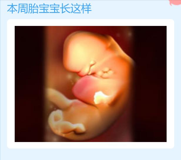 孕期准爸怎么照顾宝妈,孕期六个月准爸爸应该怎么做