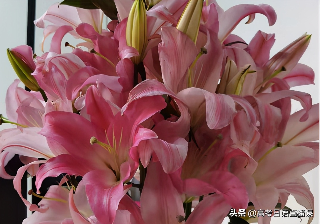 高考日语十大必考,高考日语必背1000单词