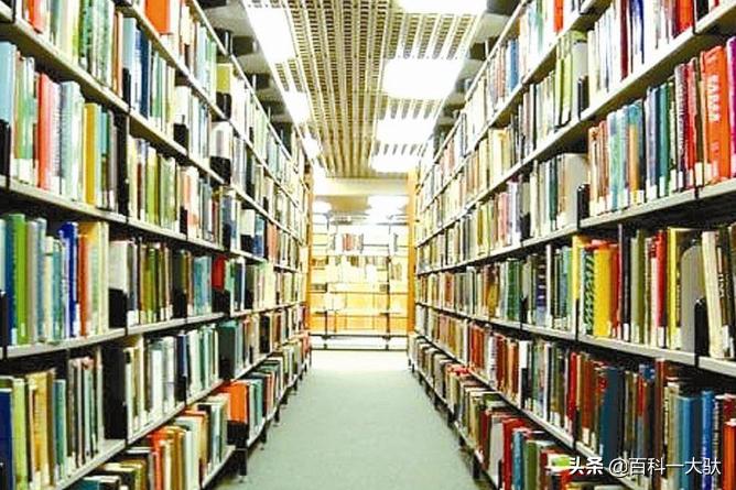 深圳市介绍文案,深圳市介绍