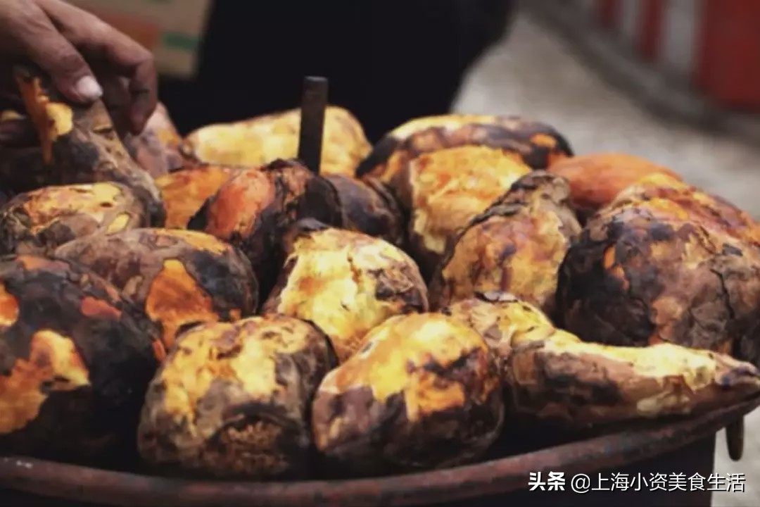 嗜甜如命写的小说,嗜甜如命的下一句