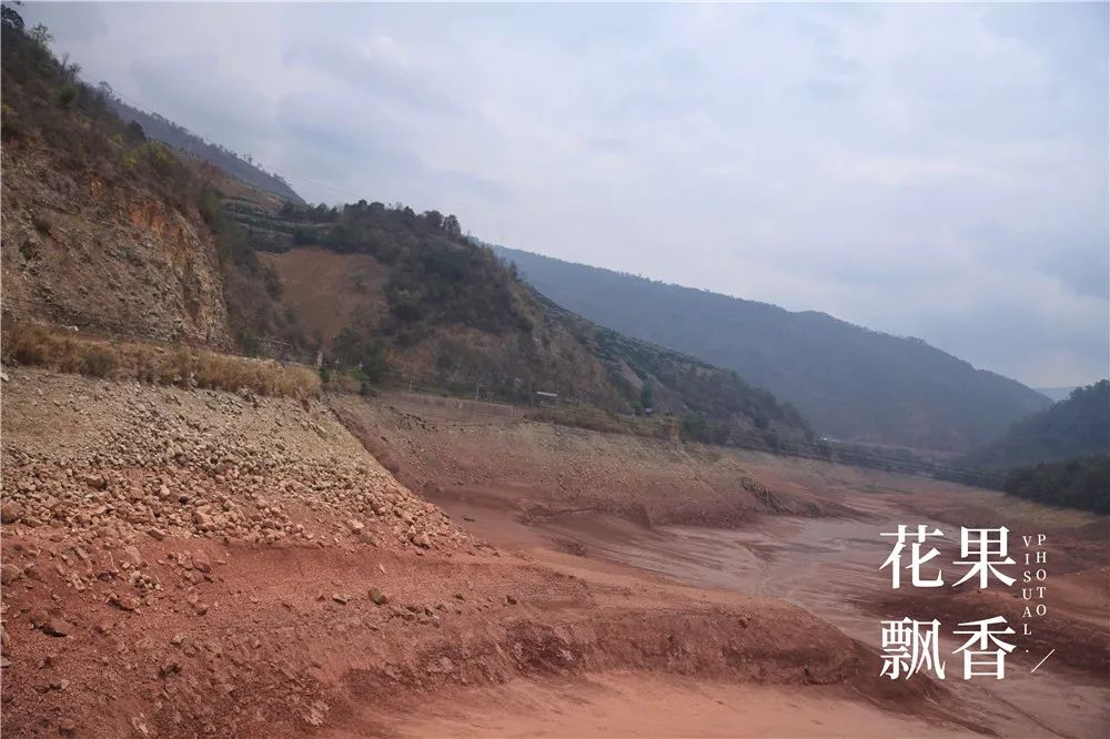 上市最早，收益最高，风险最大，果园投资的子午谷奇谋可取吗？