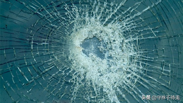 世界猎奇知识,世界冷知识科普奇闻异事