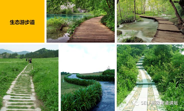 新疆天山申请世界自然遗产,天山为什么被入选为世界自然遗产