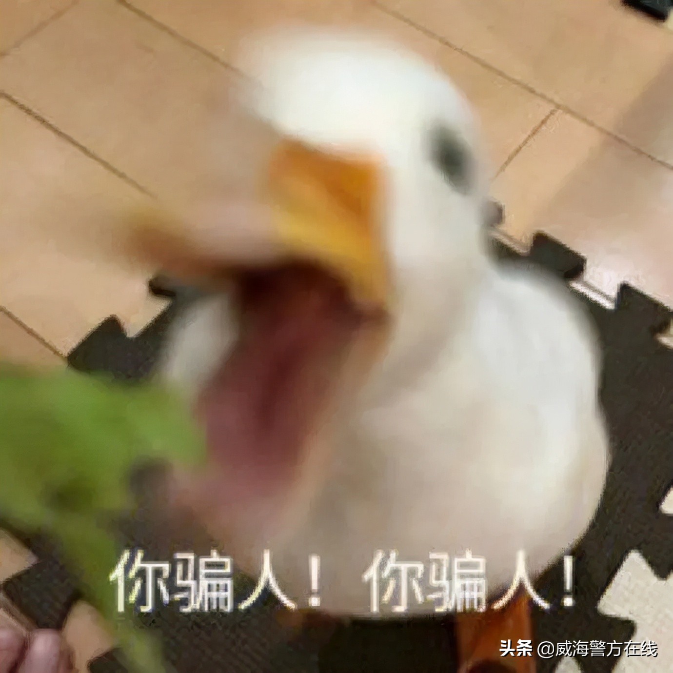 帮人赚钱才能赚到钱,帮人赞流量赚钱