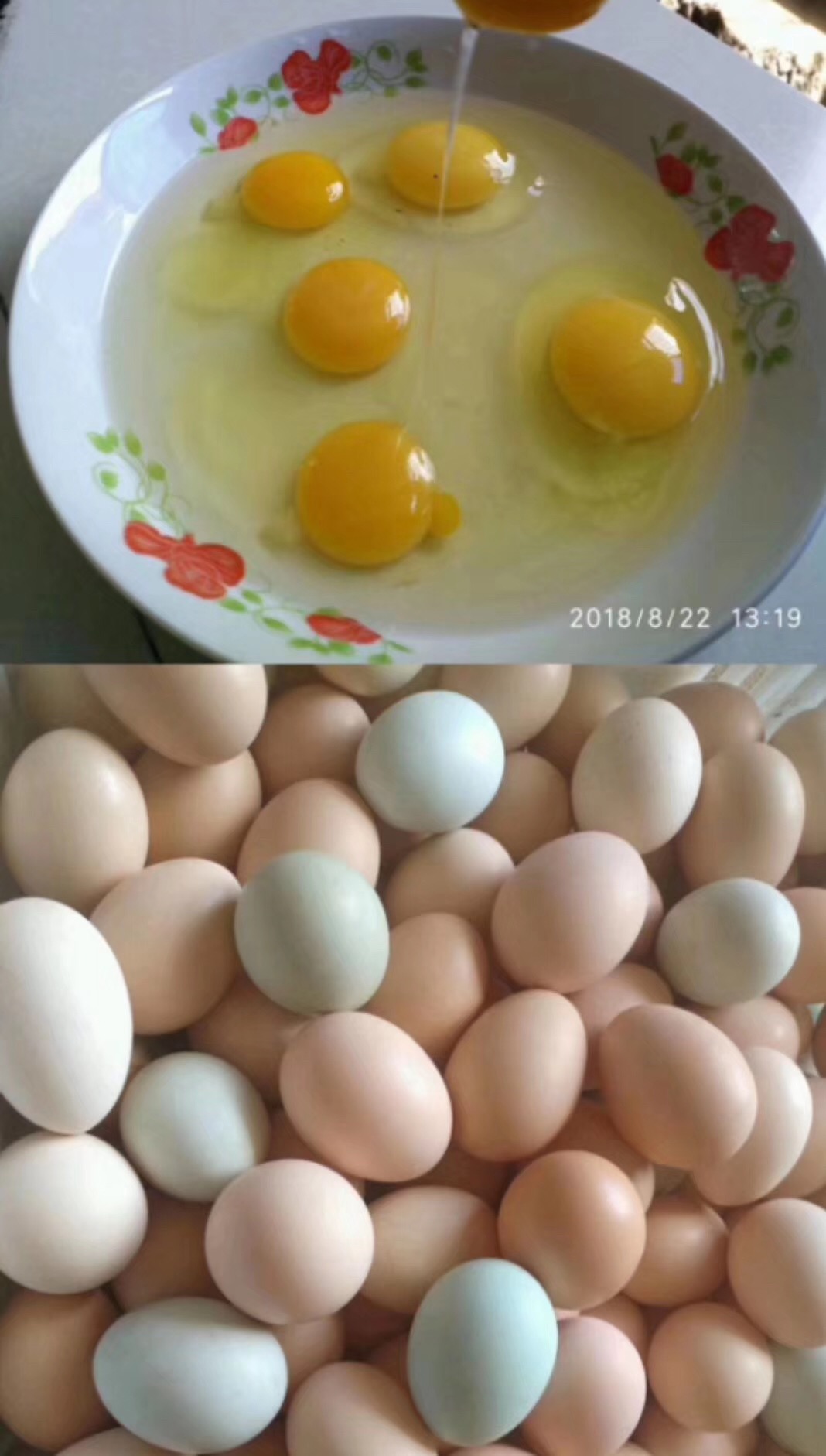 养殖2000只土鸡的成本与利润,怎么养土鸡赚钱