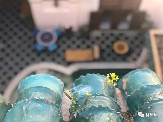 摩洛哥简单攻略,摩洛哥150天