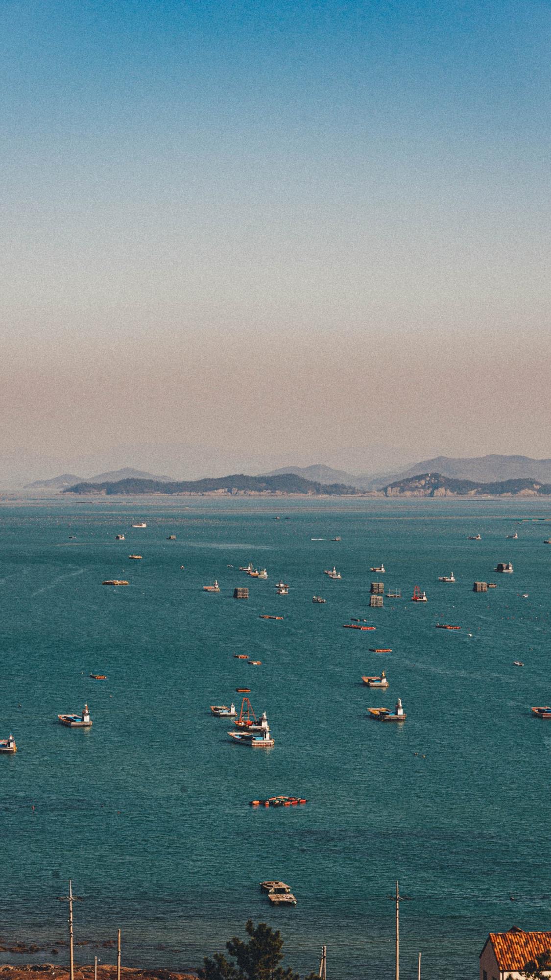 便是人间好时节壁纸,良辰美景好时光手机壁纸