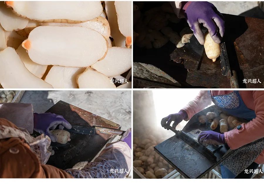 安徽道地药材天麻,天麻的道地药材