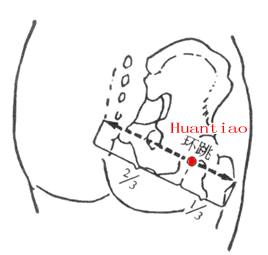 一条腿水肿董氏奇穴治疗,下肢后侧部的穴位