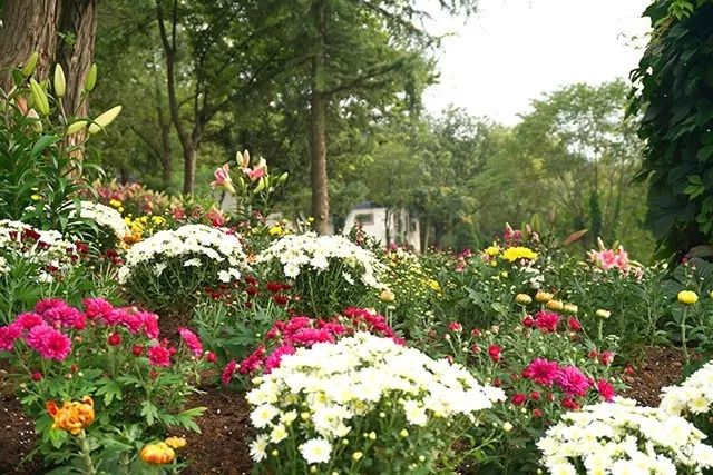 大连重阳节旅游攻略,大连九月秋游攻略