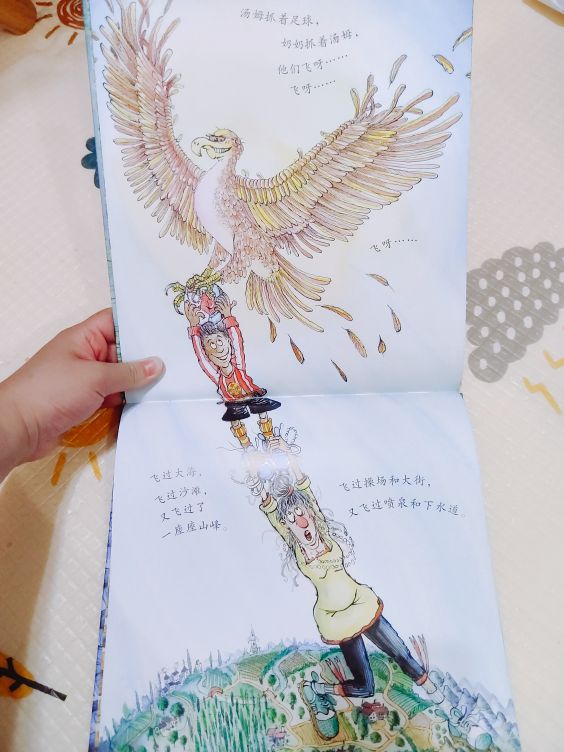 关于足球的趣事,排球的奇妙冒险