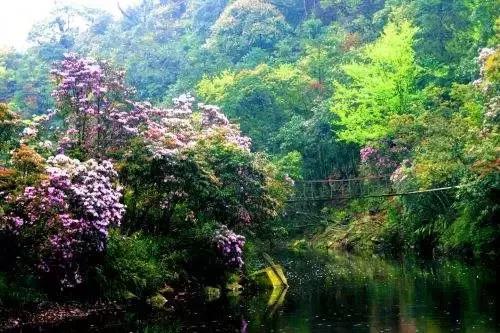 悬崖滑梯风景区,悬崖峭壁雪滑梯