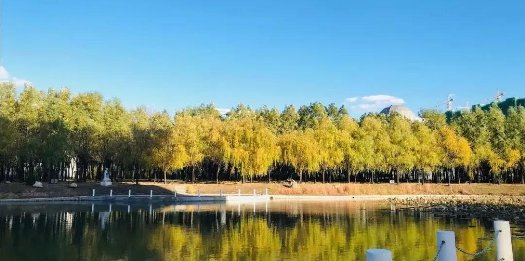 沈阳医学院在辽宁排名,沈阳医学院全面介绍