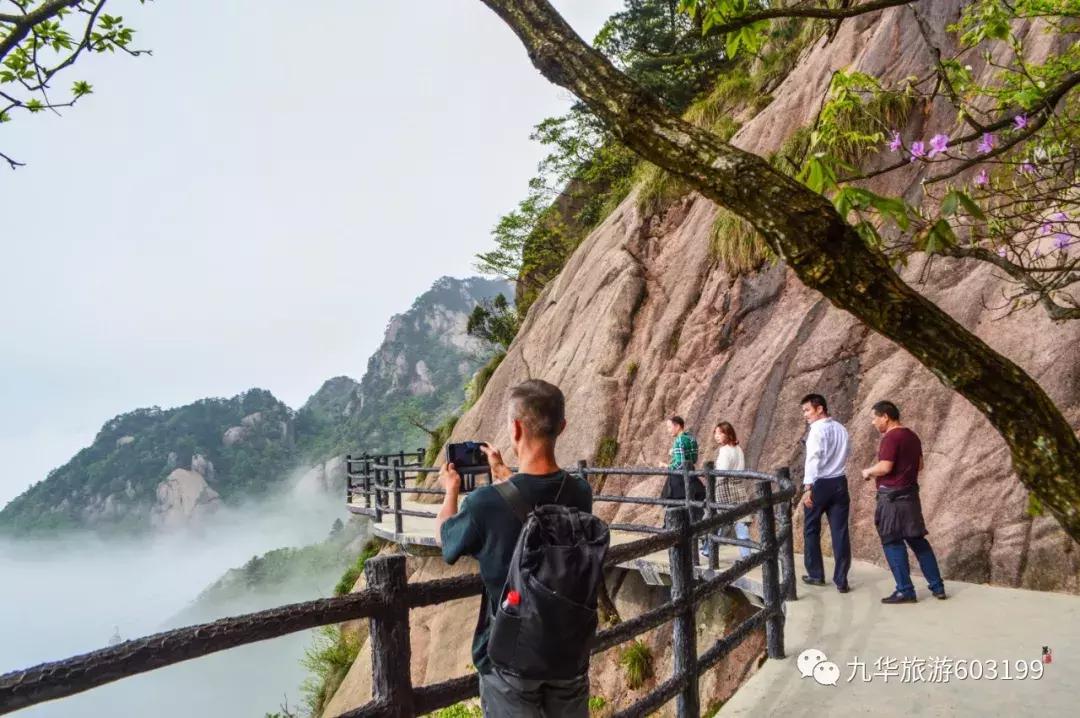 合肥一日游九华山,合肥人免费游九华山的自拍