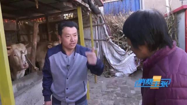 牛肉批发价最新价格,牛肉价格补贴最新消息