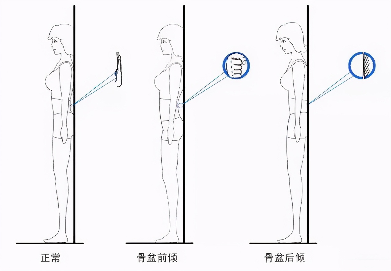 怎样练下腹部马甲线,怎样练下腹肌肉