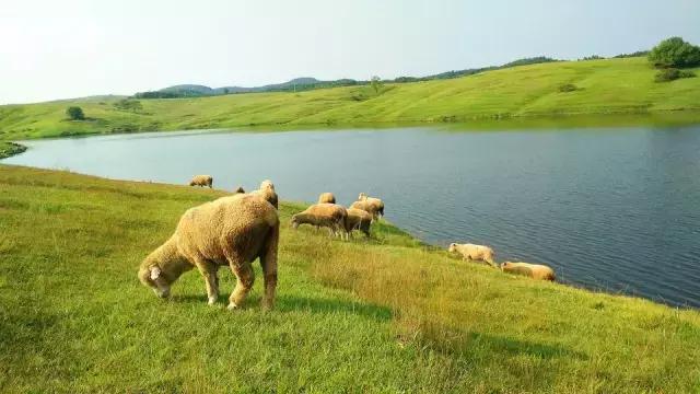 去了10次也不腻的地方,芜湖最值得一去的地方