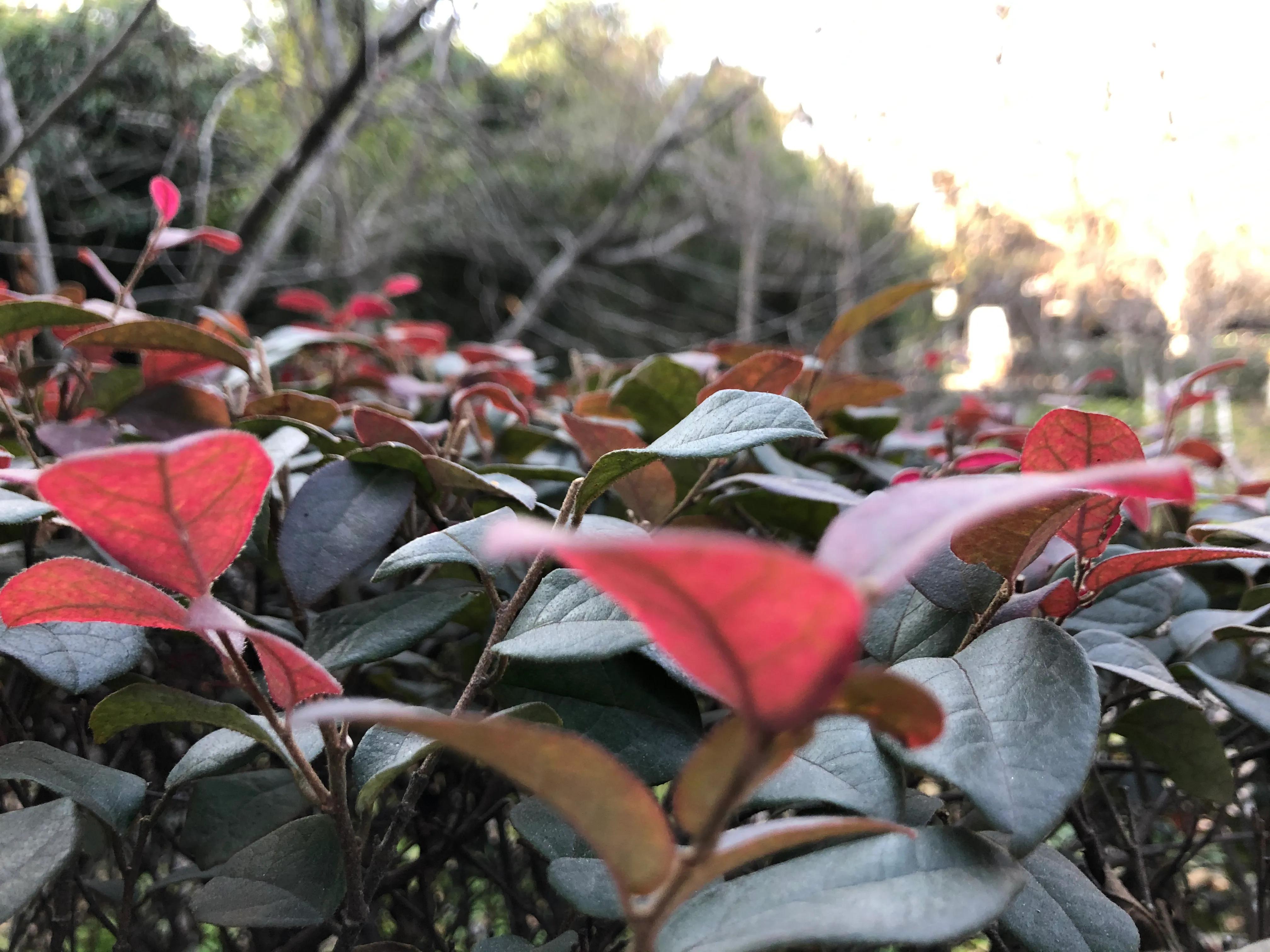 平顶山河滨公园旅游攻略,平顶山森林公园游记