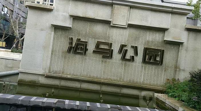 海马代工进展,海马目前的现状