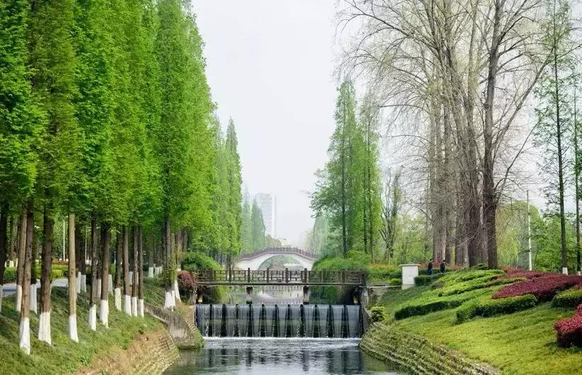 太美！空中连廊、街角绿地……成都高新串起269公里风景线