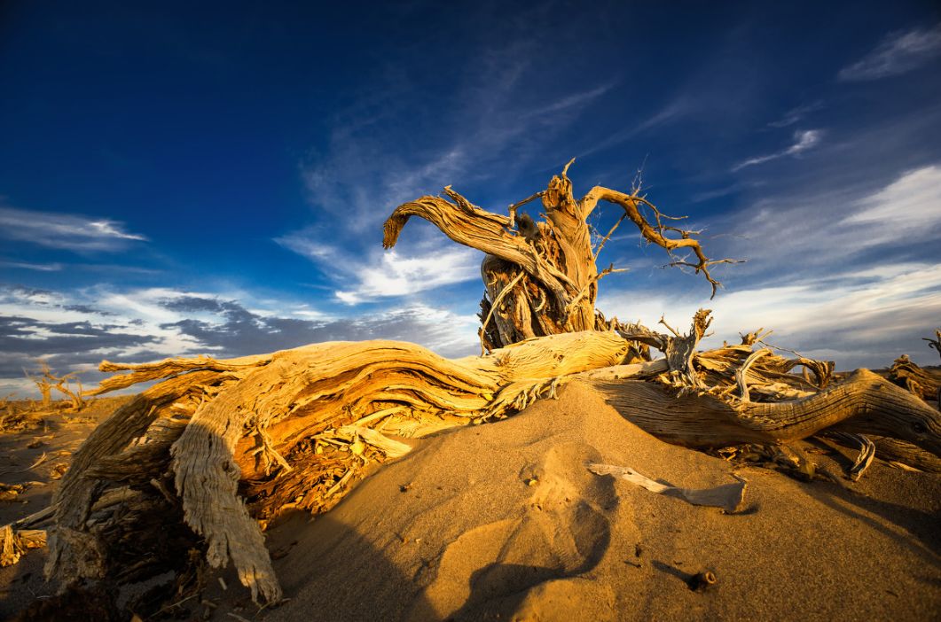 2020旅行时间表,2021年旅行时刻表出炉