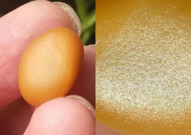 黄沁籽料的皮色和毛孔,籽料毛孔皮色怎么鉴别
