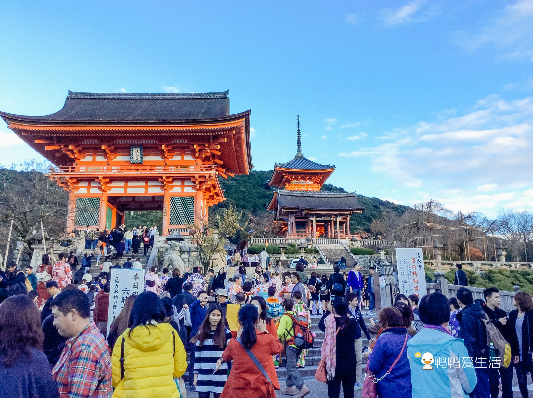 日本京都寺庙视频,日本京都闹市区古老寺庙