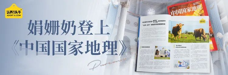 千万网红推荐的牛奶真的好喝吗,网红最好喝的纯牛奶