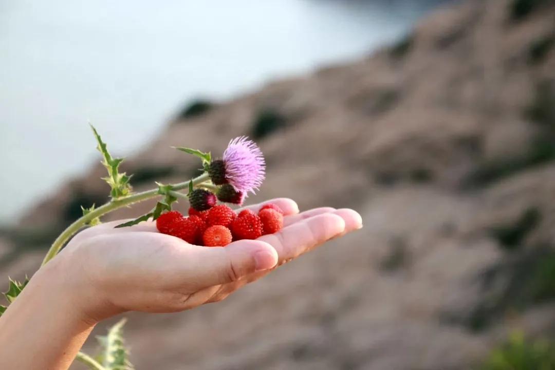 立夏暖人间草木香,风暖人间草木香不负夏日好时光