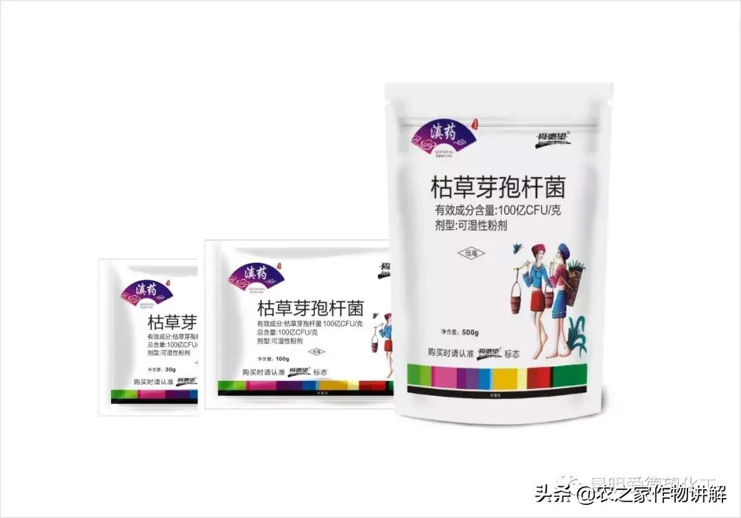 枯草芽孢杆菌是调水还是解毒,肥料枯草芽孢杆菌的作用及功效