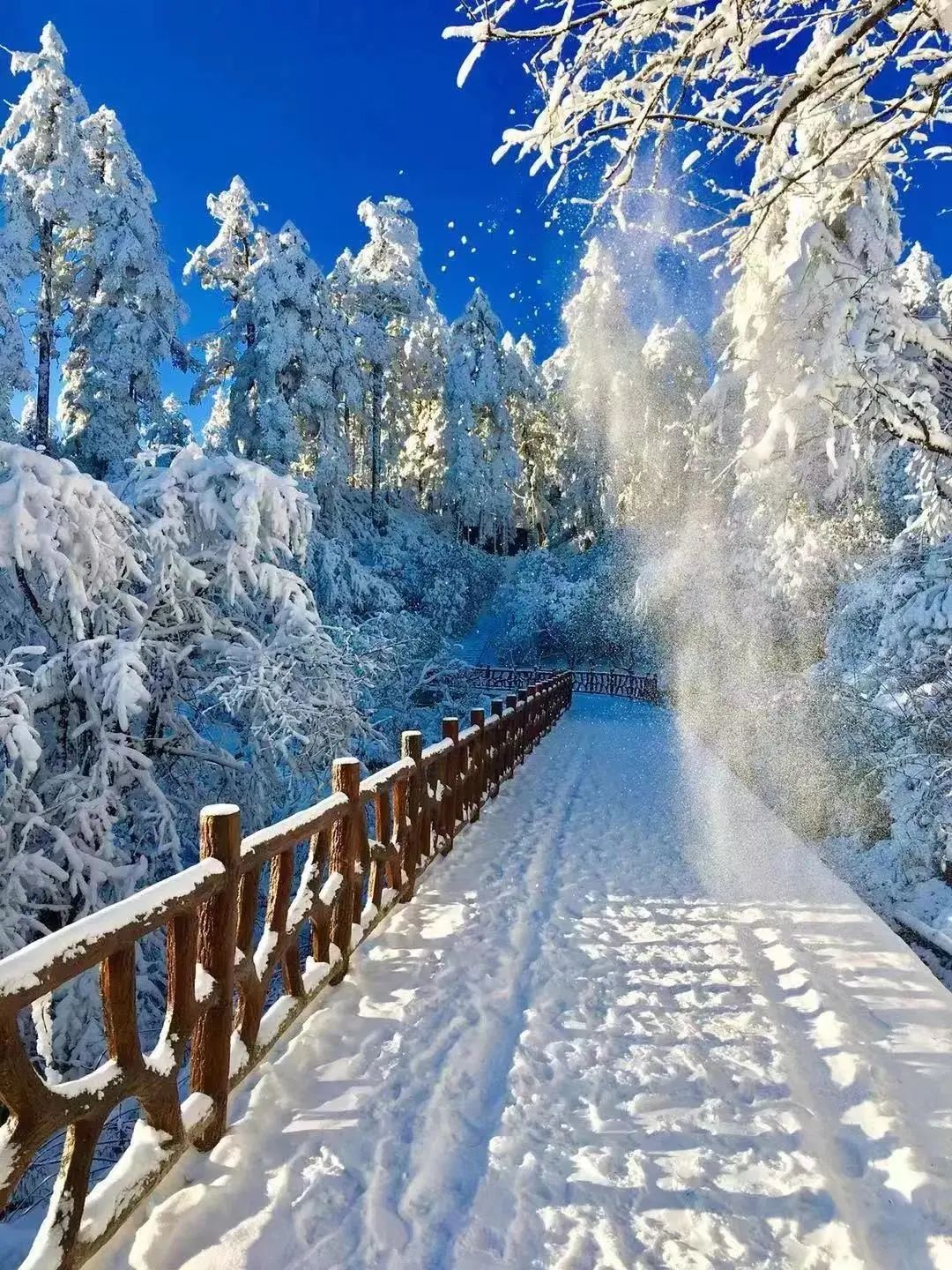 成都周边冰雪游攻略一日游推荐,成都周边冰雪旅游