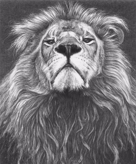 绱犳弿鍏ラ棬鍔ㄧ墿,绱犳弿鍔ㄧ墿瑙ｆ瀽