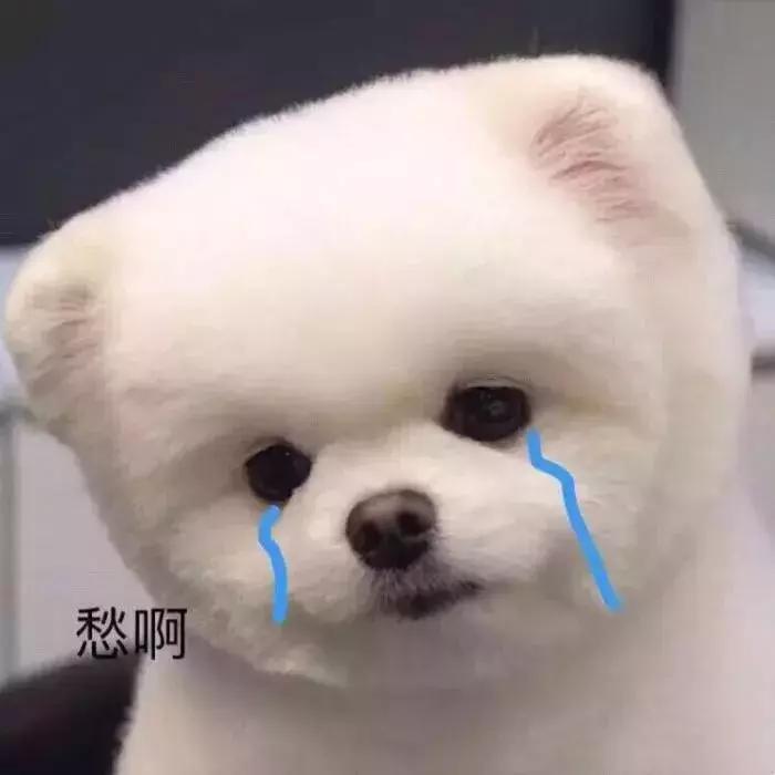 你知道淘宝还有这个功能吗,淘宝隐藏功能一览表