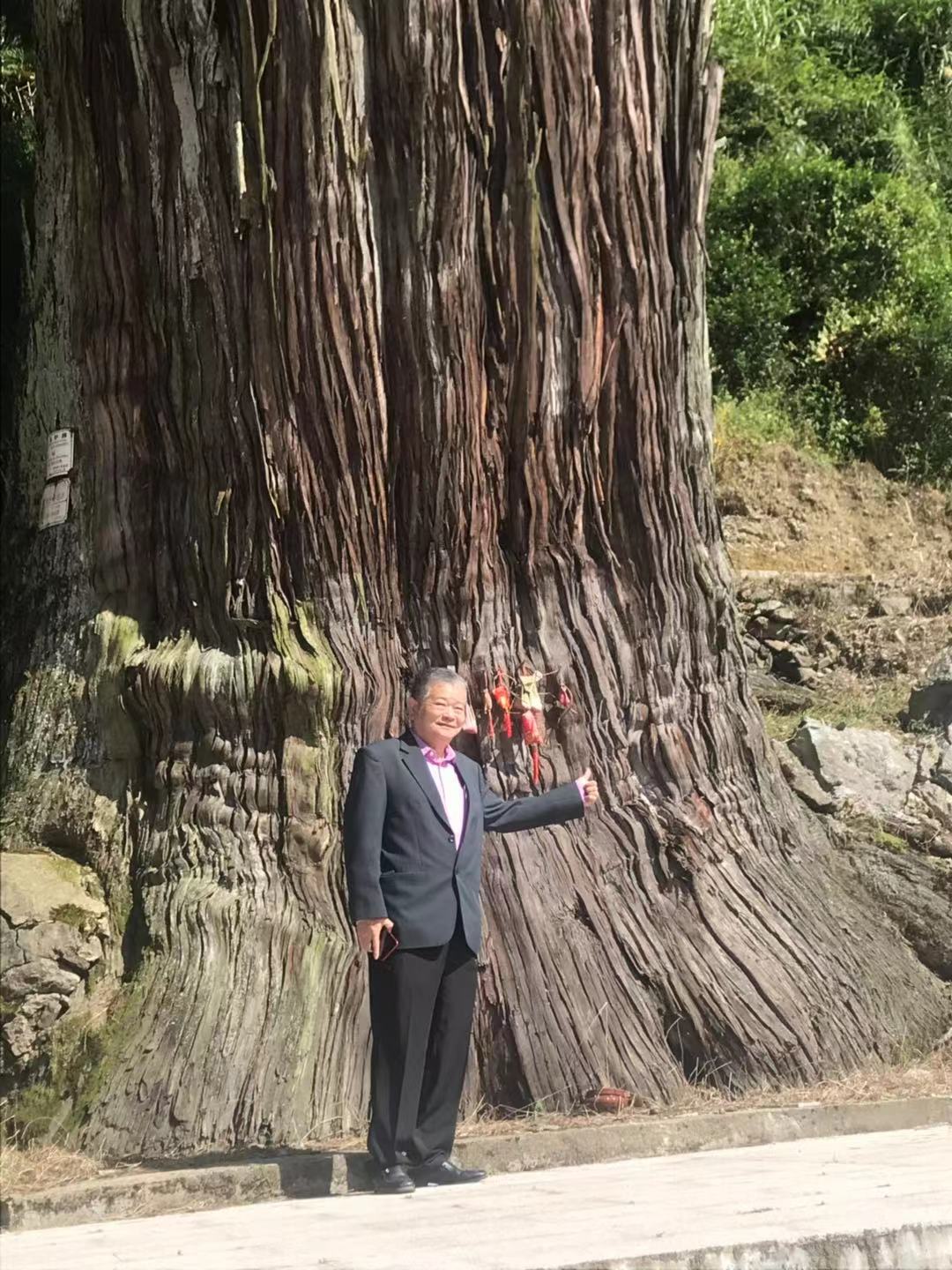 丹溪红曲酒由来,红曲造酒