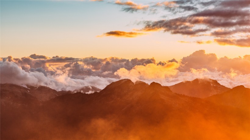 2024年放弃新欢追回旧爱的星座,面对旧爱能做到不纠缠的星座