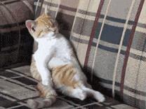 这个国在世界另一边，但铁路直通中国义乌，全民养生却熬最野的夜