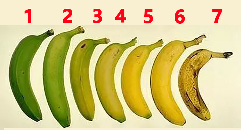 几张图教你认清常见的香蕉品种,一张图看懂水果的甜度标准
