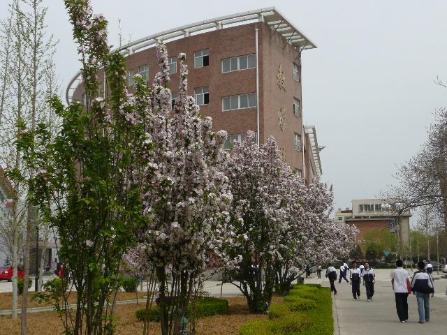 新课改下的高中生职业生涯规划,高中生职业生涯规划的价值和意义