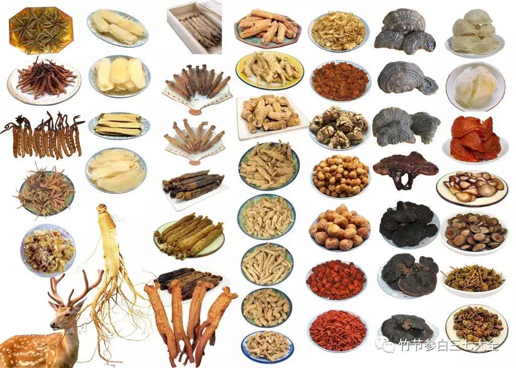 现在种植什么药材最赚钱 (现在市场上种植什么药材最赚钱)