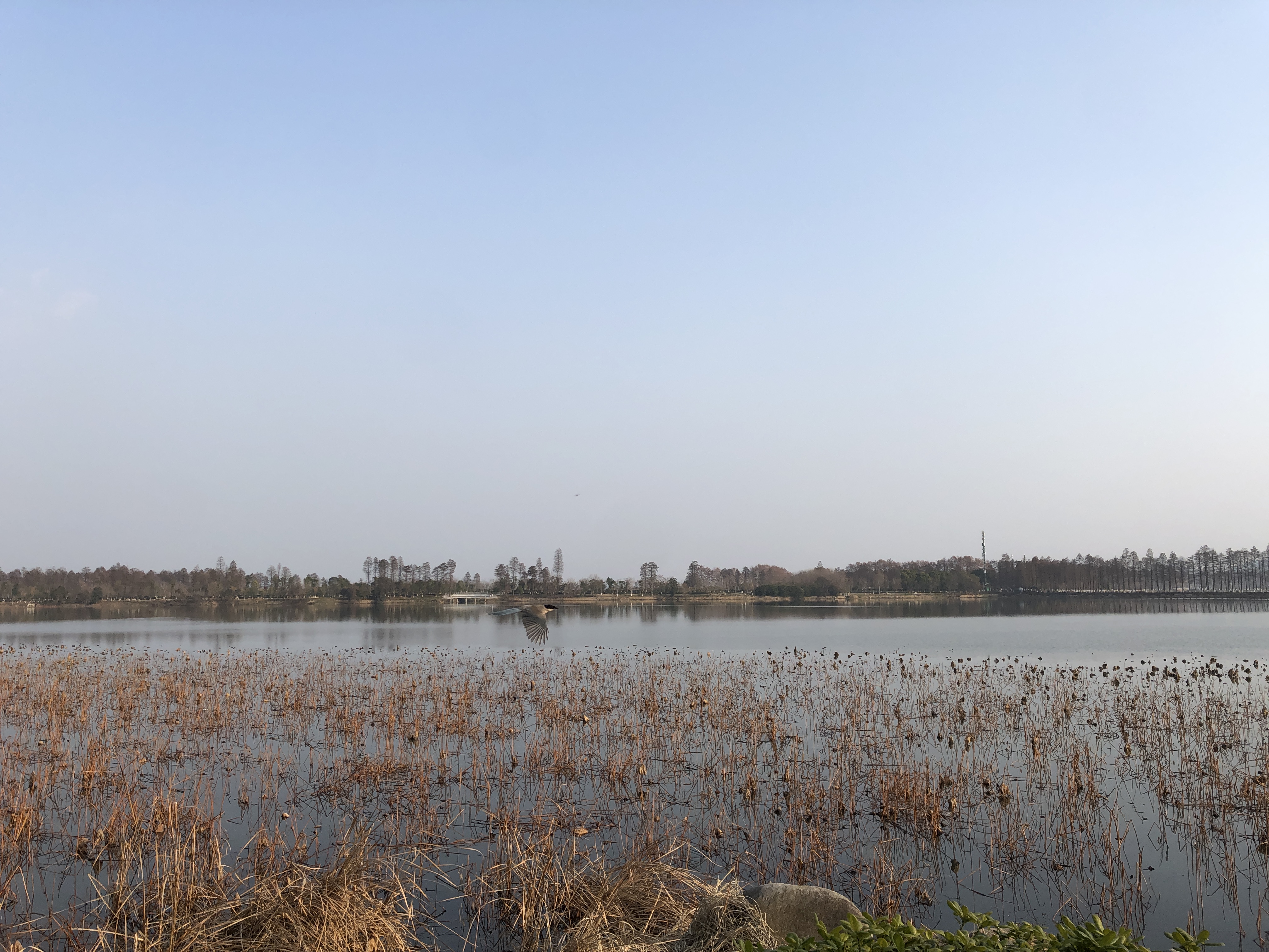 疫情当下奋斗的人,一场突如其来的疫情席卷了一座城